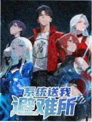 手艺人的一百天 海报